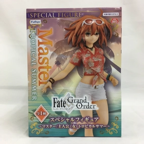 Flue Fate/Grand Order Special Figure -Master/Principal (Female) Tropical Summer -11240 YouTube Background Mammal Figure