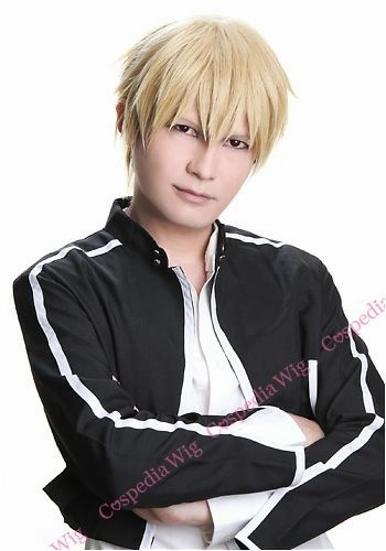 Retail Package "Fate/stay night" Gilgamesh style cosplay wig