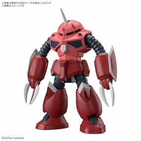 HG 1/144 Z??GOK(SEED FREEDOM Ver.) ?C?? ???_  SEED Judges' Choice